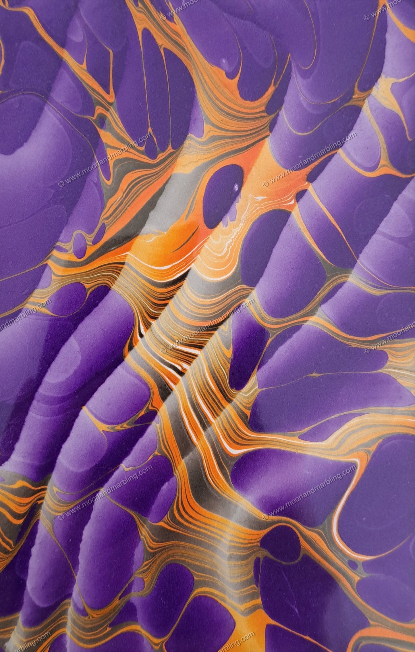 Spanish Moire #7