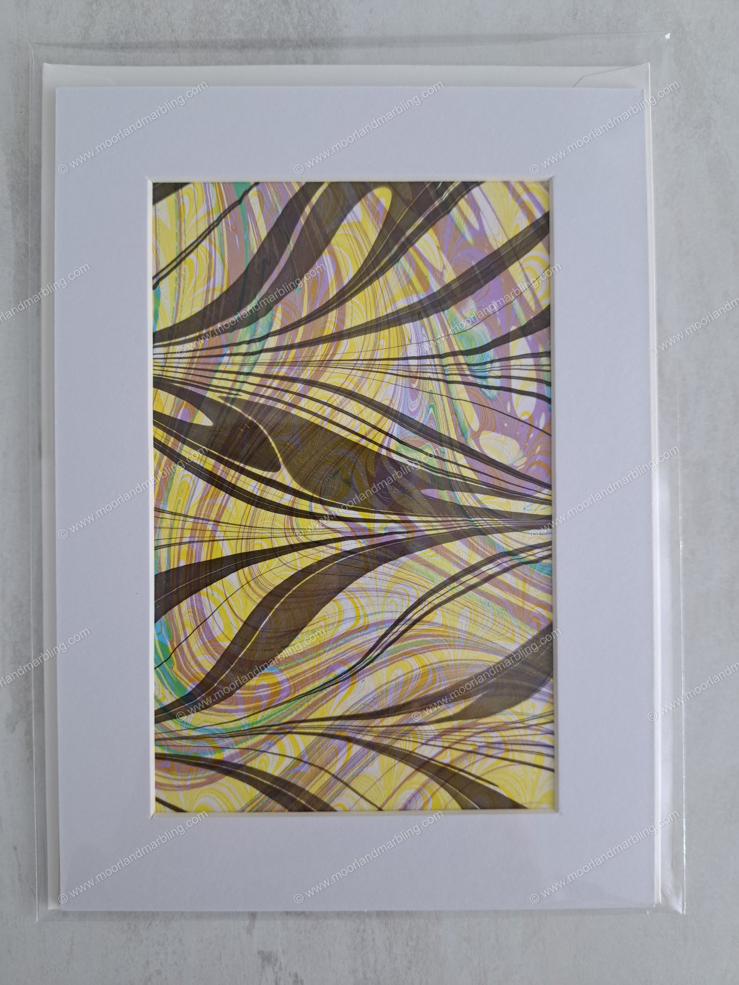 Free Form #4