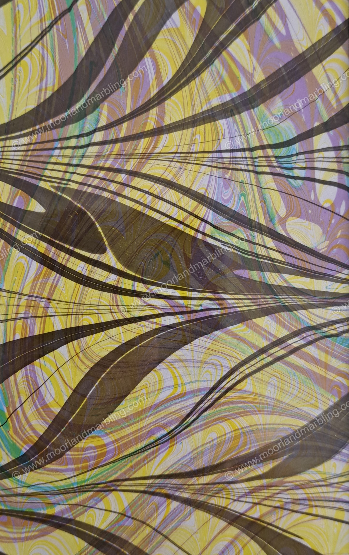 Free Form #4