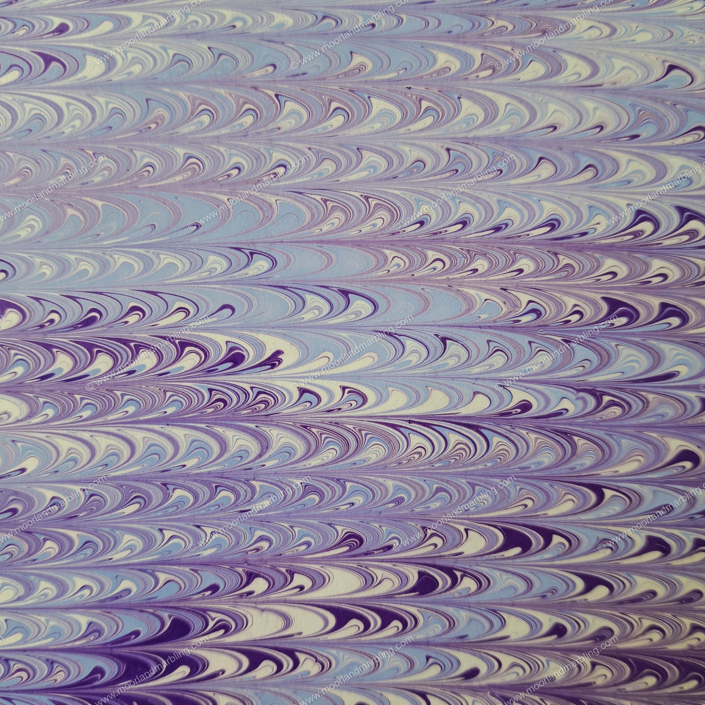 "Lilac Illusion"